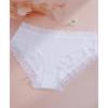 imageFINETOO Womens Underwear Cotton Bikini Underwear for Women Lace Wasit Hipster Panties Soft Breathable Briefs 6 PackV2
